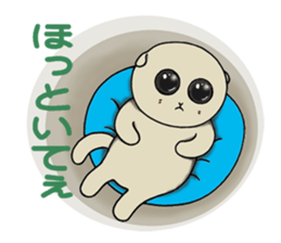 Lop-eared cat,SCO.in winter. sticker #9701871