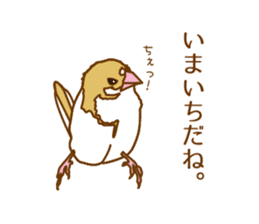 Daily Bengalese finch! sticker #9705220