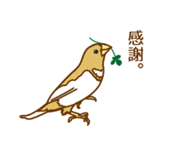 Daily Bengalese finch! sticker #9705222