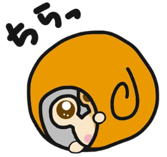 DOUSE MURI 3 sticker #9705688