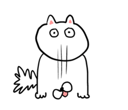 Reaction of the cat sticker #9705832