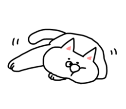 Reaction of the cat sticker #9705842