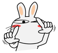 Cute Rabbit Everyday 2nd sticker #9705893