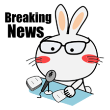 Cute Rabbit Everyday 2nd sticker #9705916