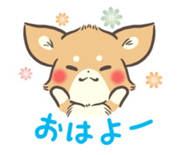 mild-Chihuahua sticker #9707048