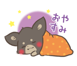 mild-Chihuahua sticker #9707049