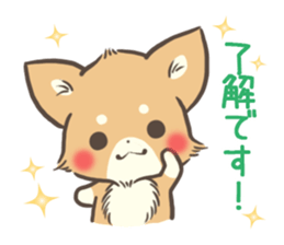 mild-Chihuahua sticker #9707050