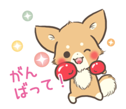 mild-Chihuahua sticker #9707058