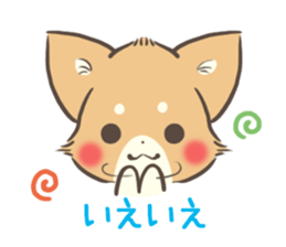 mild-Chihuahua sticker #9707062