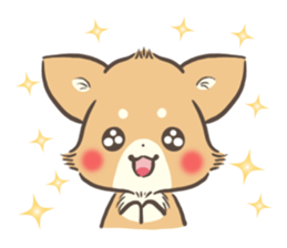 mild-Chihuahua sticker #9707068