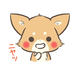 mild-Chihuahua sticker #9707074