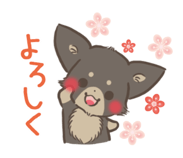 mild-Chihuahua sticker #9707077