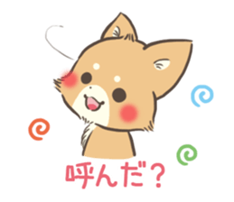 mild-Chihuahua sticker #9707078