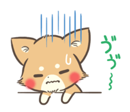 mild-Chihuahua sticker #9707086