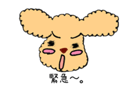 Toy Poodle Sakura sticker #9707984