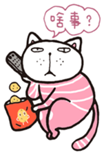 Frank stripe cat sticker #9708457