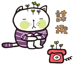 Frank stripe cat sticker #9708466