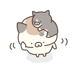 hagemashi cat nichijo 3 sticker #9710587