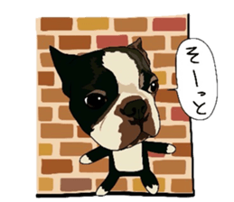 Boston-Terrier-association2 sticker #9713611