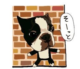 Boston-Terrier-association2 sticker #9713611