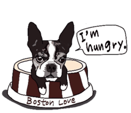 Boston-Terrier-association2 sticker #9713613