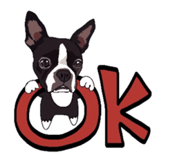 Boston-Terrier-association2 sticker #9713641
