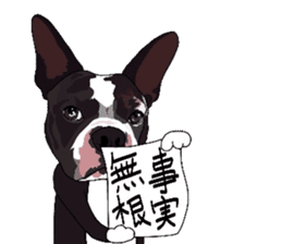 Boston-Terrier-association2 sticker #9713646