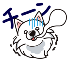 iinu - Samoed sticker #9713823