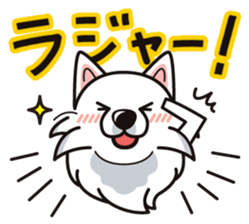 iinu - Samoed sticker #9713833