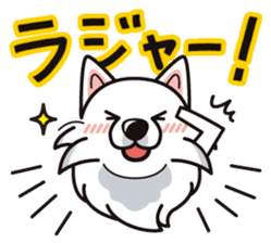 iinu - Samoed sticker #9713833