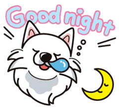 iinu - Samoed sticker #9713837