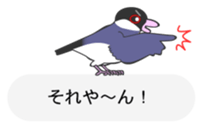 Java sparrow's sticker Part 2 sticker #9720570