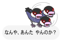 Java sparrow's sticker Part 2 sticker #9720573