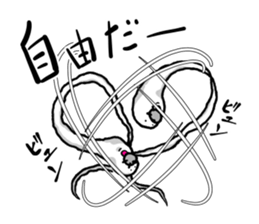 BEAR-SEAL3 sticker #9722248