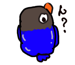 Blue button parakeets Sticker 2 sticker #9726713