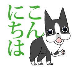 BostonTerrier Bunta 2 sticker #9727792