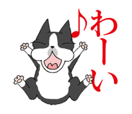 BostonTerrier Bunta 2 sticker #9727797