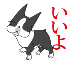 BostonTerrier Bunta 2 sticker #9727799