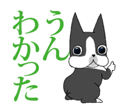 BostonTerrier Bunta 2 sticker #9727800