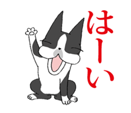 BostonTerrier Bunta 2 sticker #9727801