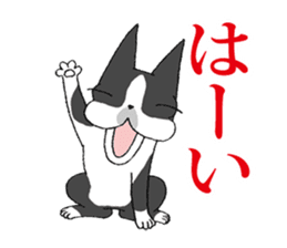 BostonTerrier Bunta 2 sticker #9727801