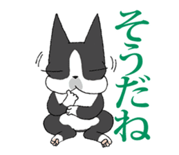 BostonTerrier Bunta 2 sticker #9727803
