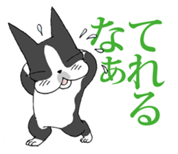 BostonTerrier Bunta 2 sticker #9727807