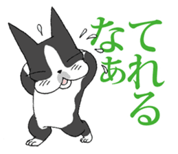 BostonTerrier Bunta 2 sticker #9727807