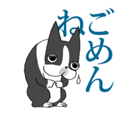 BostonTerrier Bunta 2 sticker #9727810