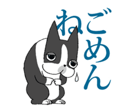 BostonTerrier Bunta 2 sticker #9727810