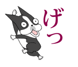 BostonTerrier Bunta 2 sticker #9727814