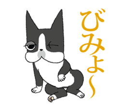 BostonTerrier Bunta 2 sticker #9727818