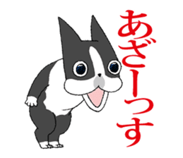 BostonTerrier Bunta 2 sticker #9727819