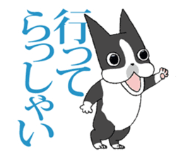 BostonTerrier Bunta 2 sticker #9727821